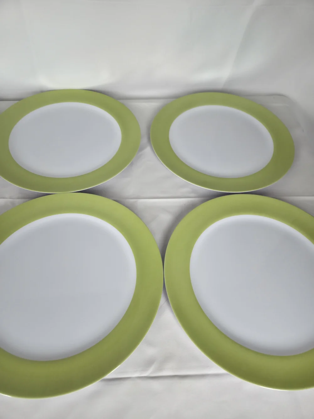 Plastic Picnic Plates 11